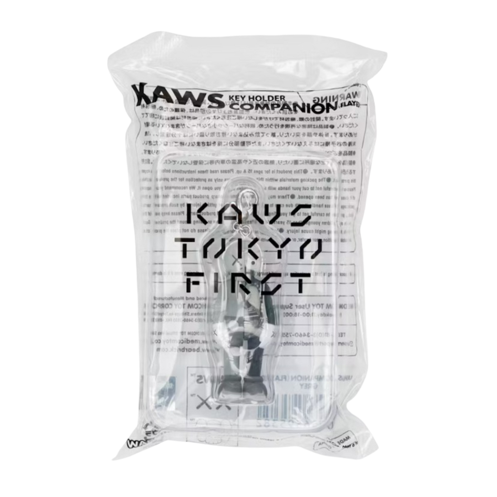 Llavero gris de acompañante desollado de KAWS Tokio (2021)