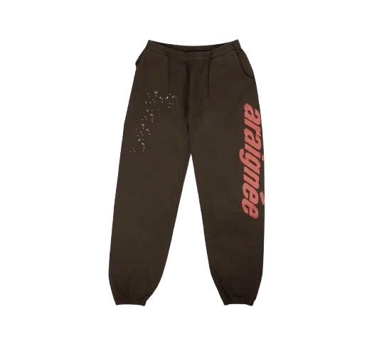 Sp5der Araignee Sweatpants Brown