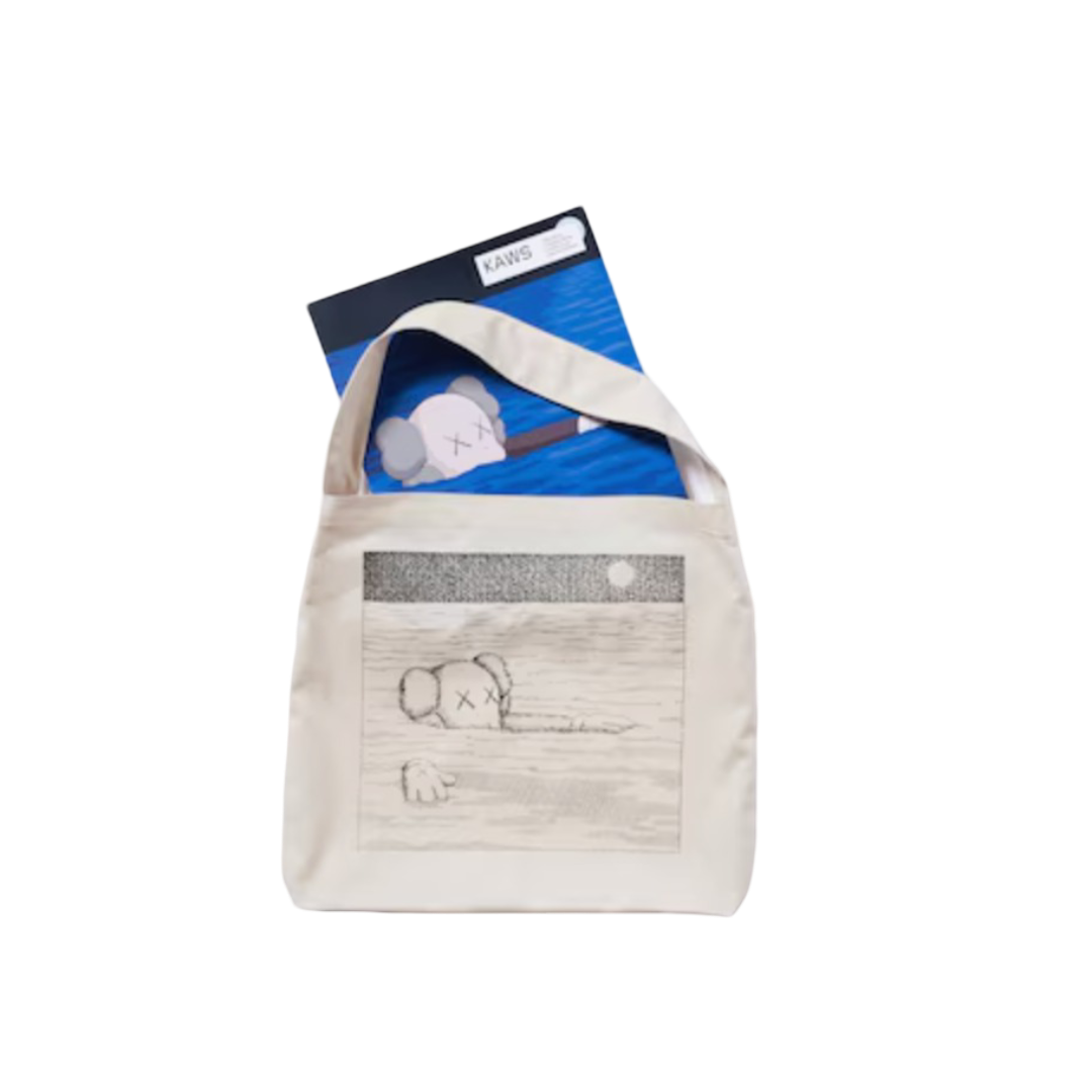Libro KAWS Phaidon Uniqlo con bolsa de mano